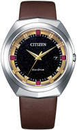 Citizen Eco-Drive 365 Limited Edition Starry Sky BN1010-05E www.watchoutz.com