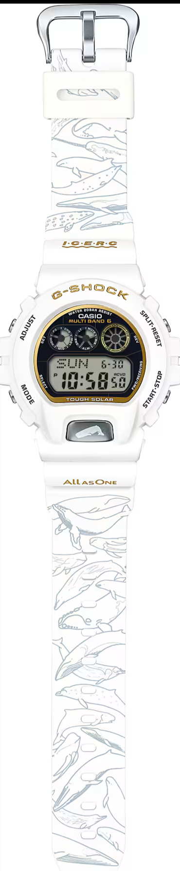 Casio G-Shock x ICERC Japan 6900 Series Casio G-Shock x ICERC Japan 6900 Series